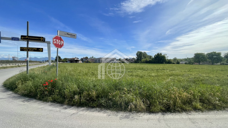 immagine annuncio 1 di 4