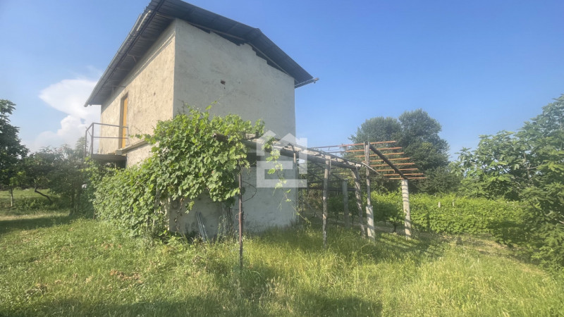immagine annuncio 2 di 8