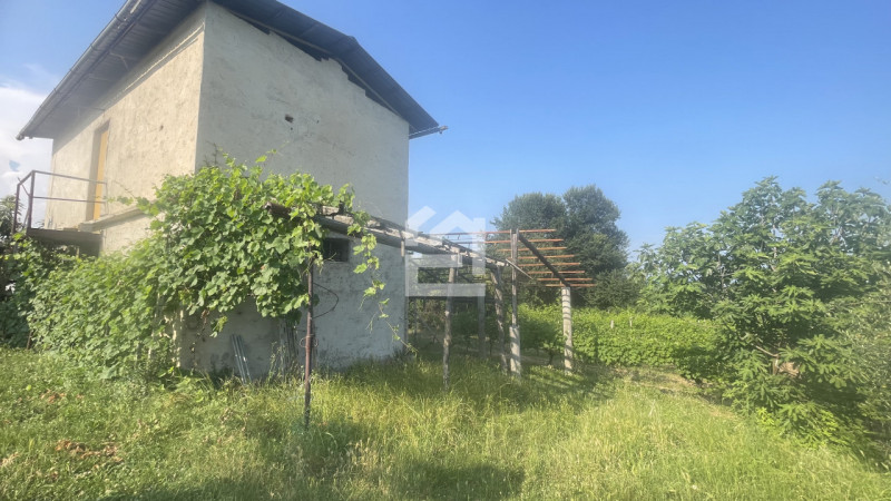 immagine annuncio 5 di 8