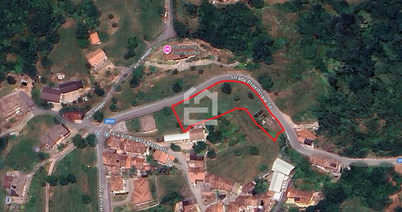 immagine annuncio 5 di 8