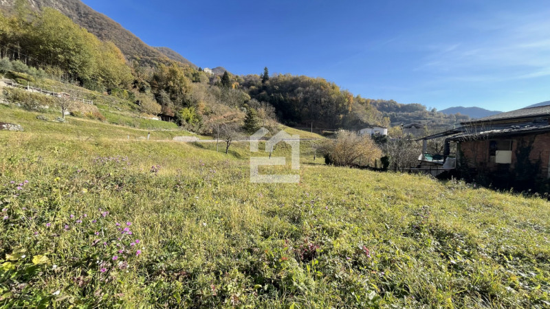 immagine annuncio 3 di 8