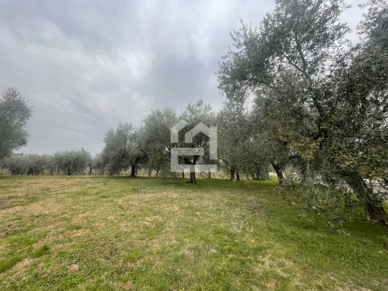 immagine annuncio 1 di 7