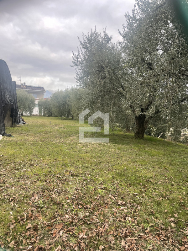 immagine annuncio 2 di 7