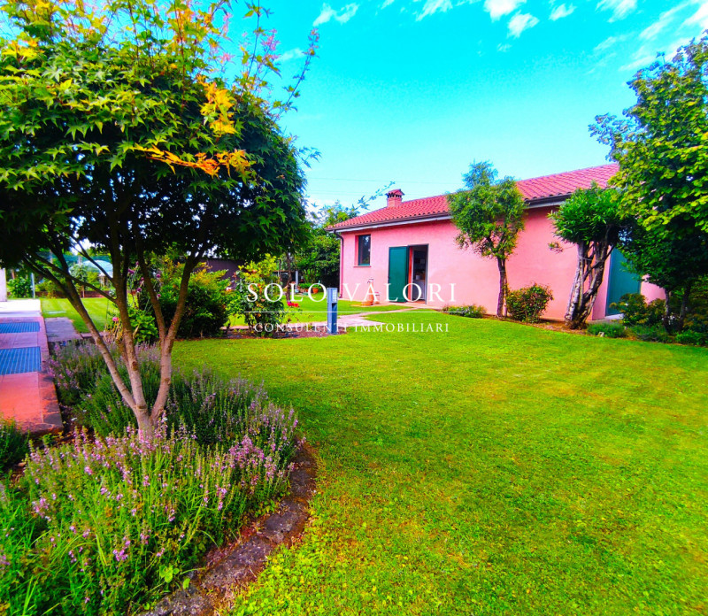 casa indipendente in vendita a Vedelago