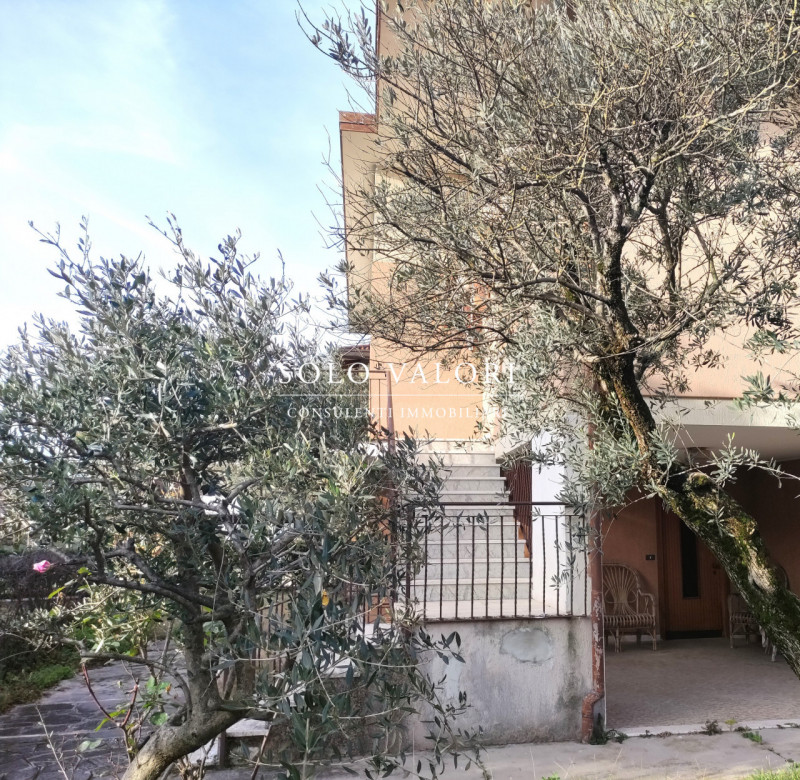 immagine annuncio 1 di 7