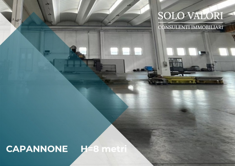 immagine annuncio 1 di 8