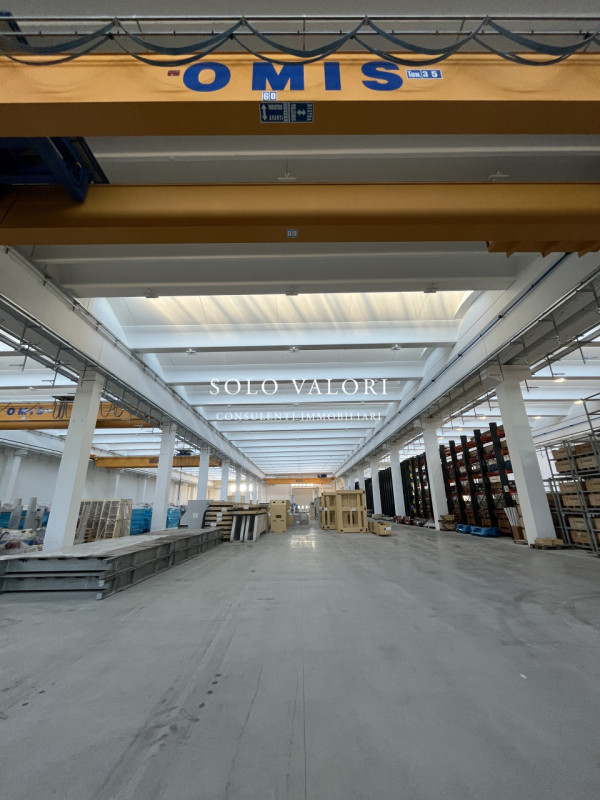 immagine annuncio 5 di 7