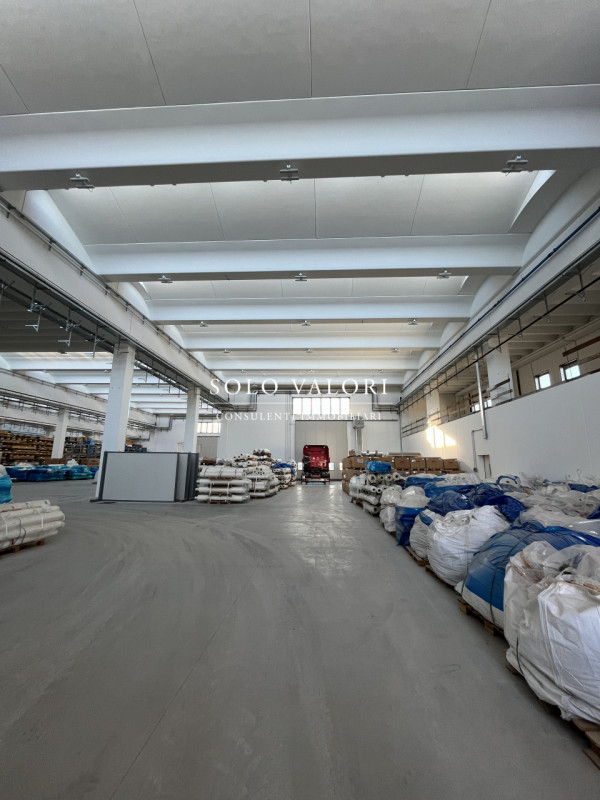 immagine annuncio 3 di 7