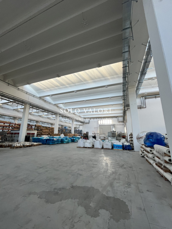 immagine annuncio 4 di 7