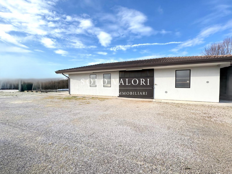 immagine annuncio 1 di 4