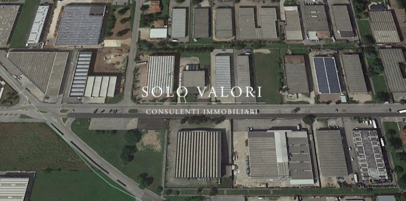 immagine annuncio 2 di 6