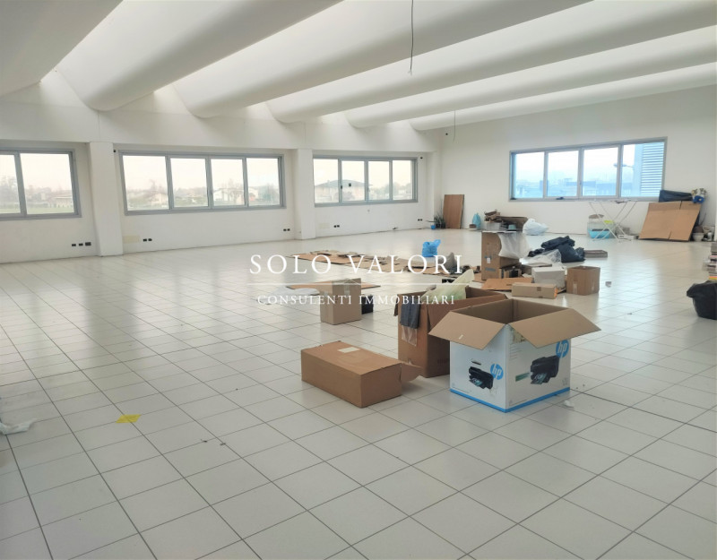 immagine annuncio 1 di 6