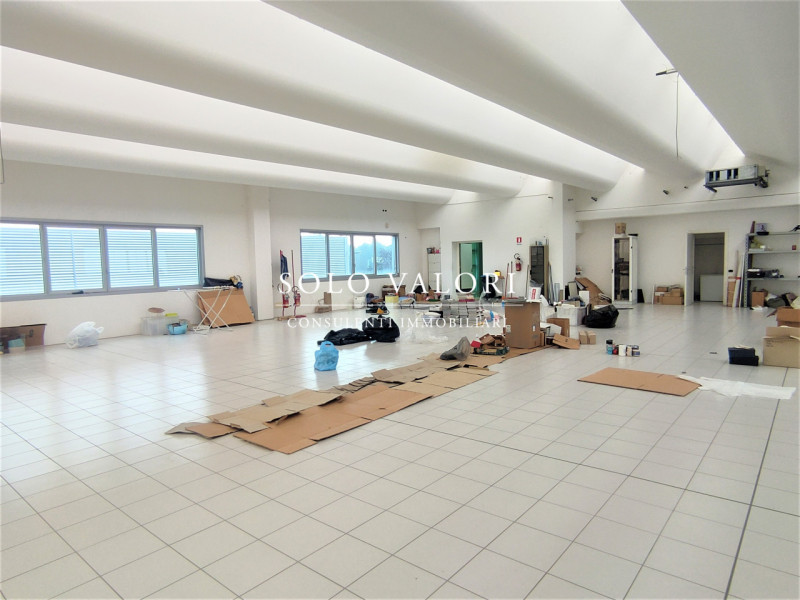 immagine annuncio 3 di 6