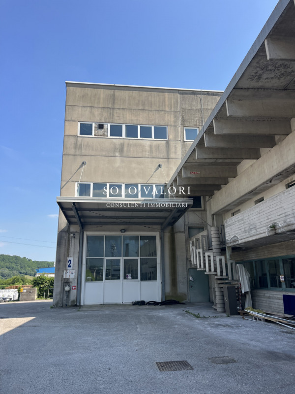 immagine annuncio 2 di 7
