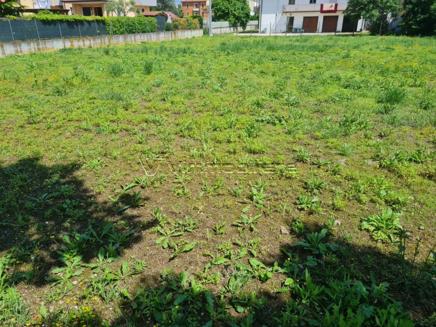 immagine annuncio 5 di 8