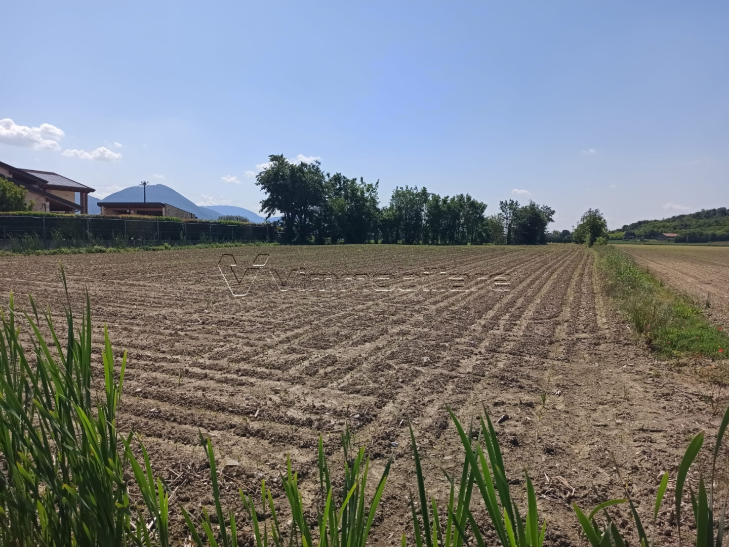 immagine annuncio 2 di 4
