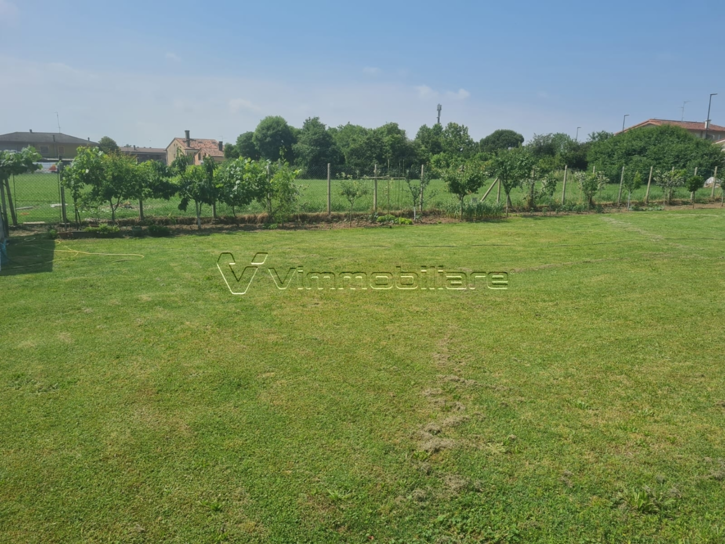 immagine annuncio 5 di 9