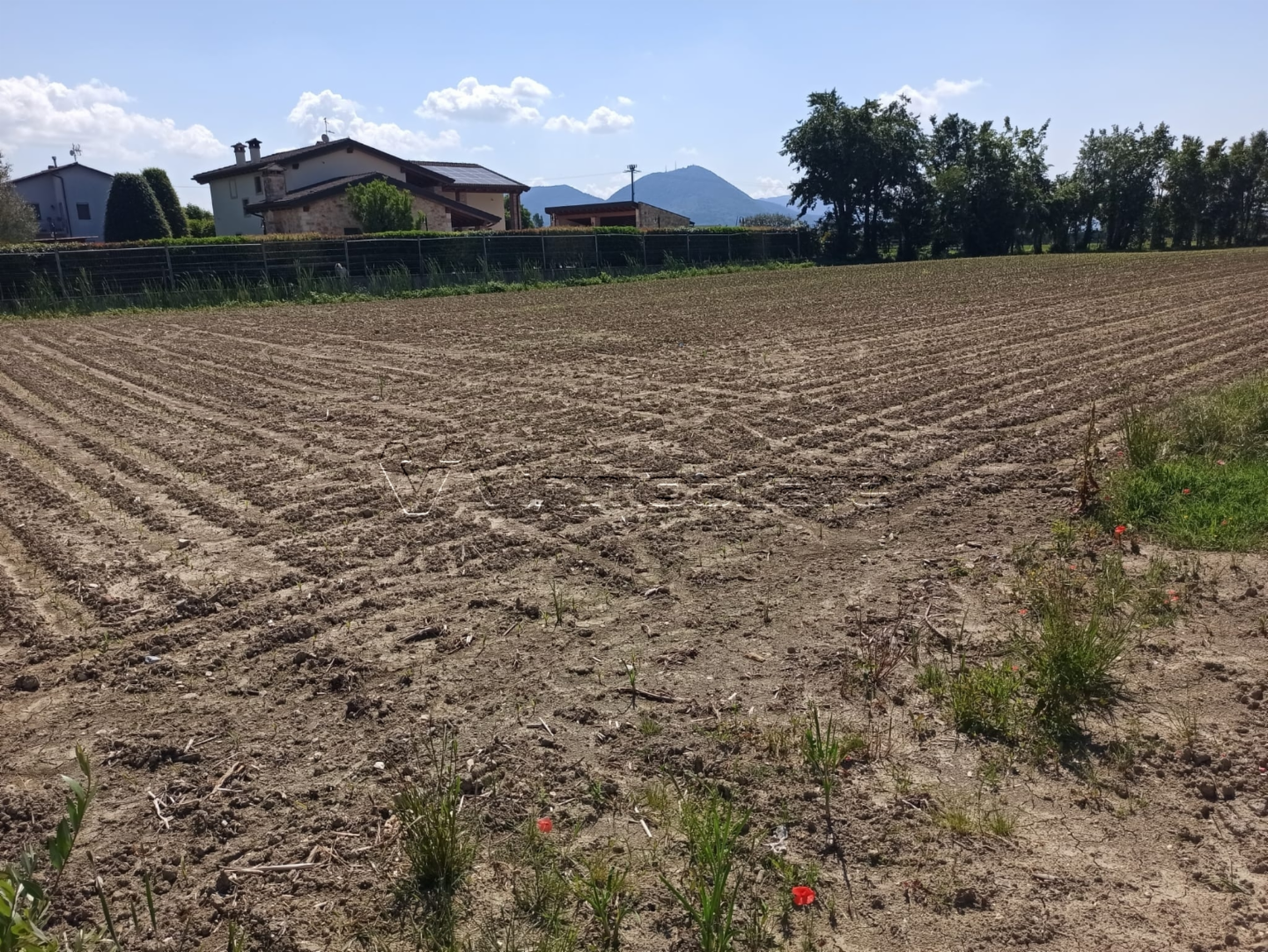immagine annuncio 3 di 4