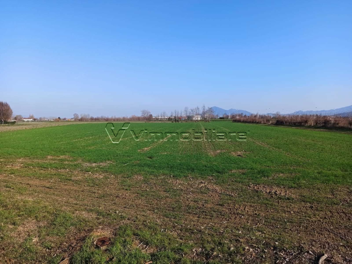 immagine annuncio 5 di 6
