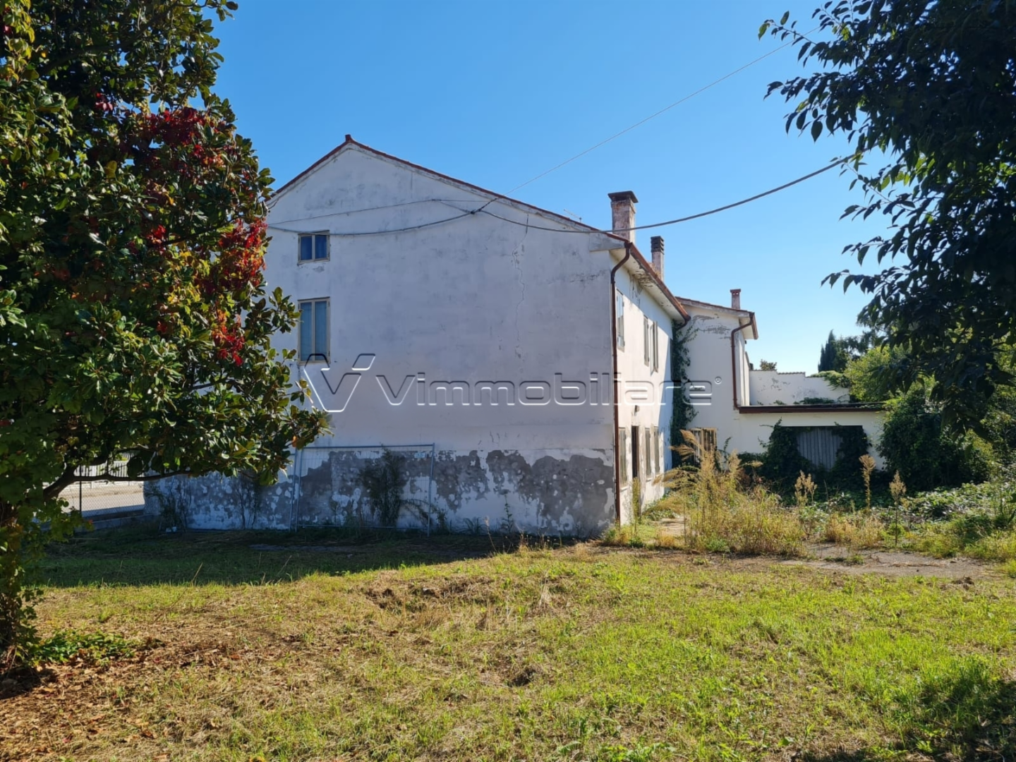 immagine annuncio 4 di 7