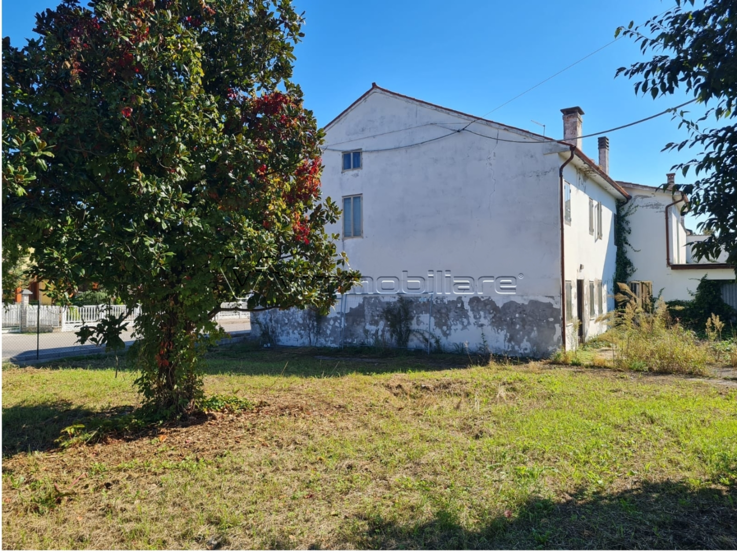 immagine annuncio 5 di 7