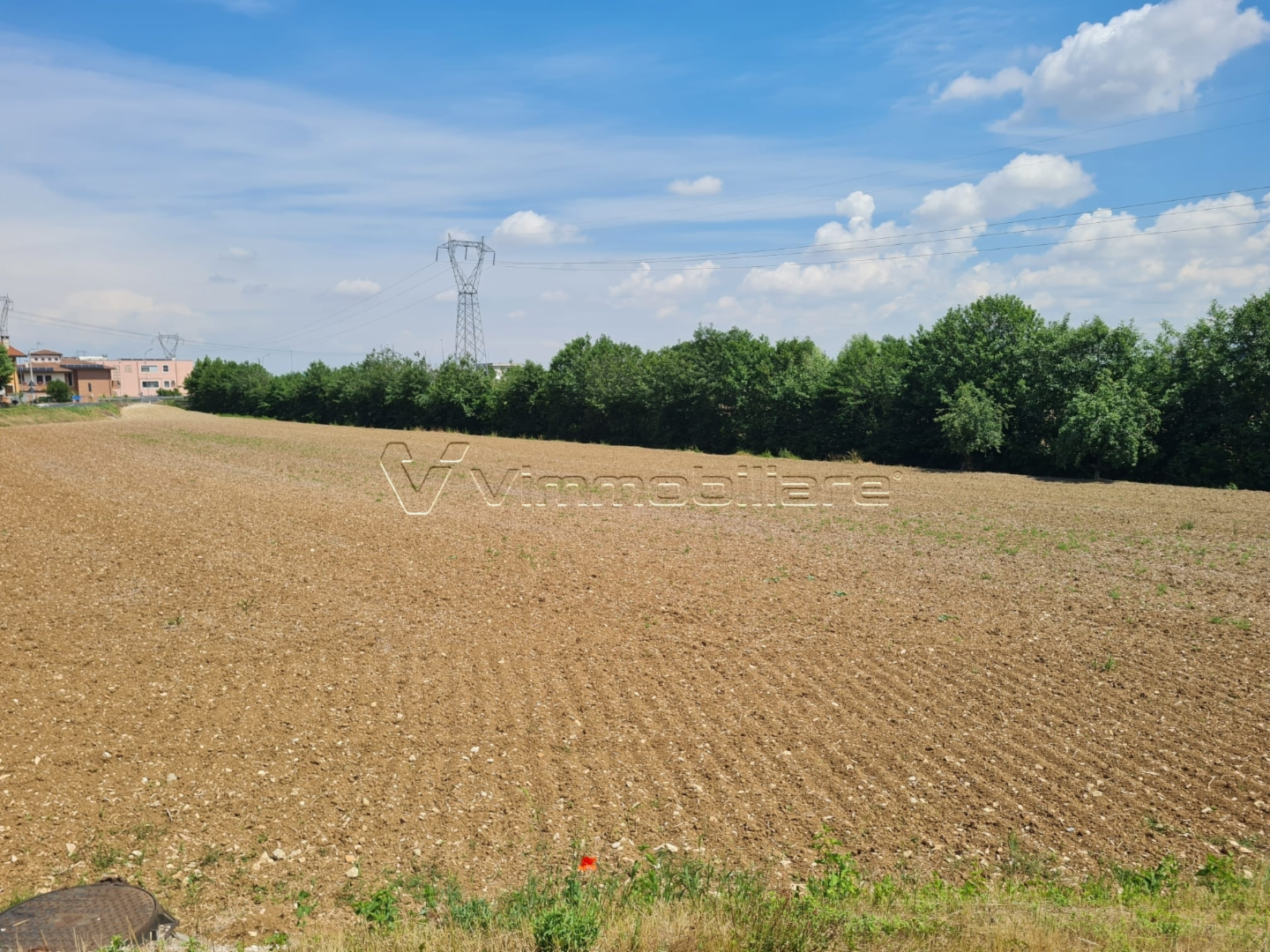 immagine annuncio 4 di 6