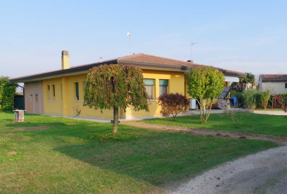 immagine annuncio 3 di 7