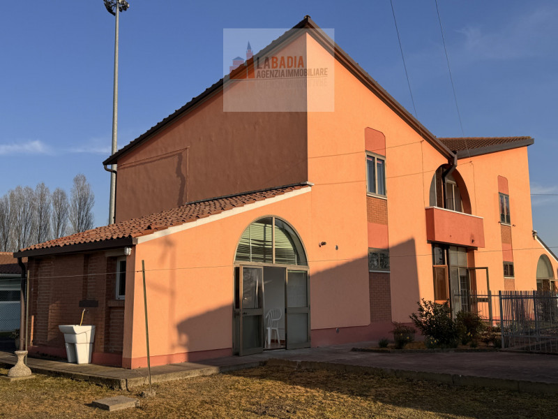 immagine annuncio 4 di 10