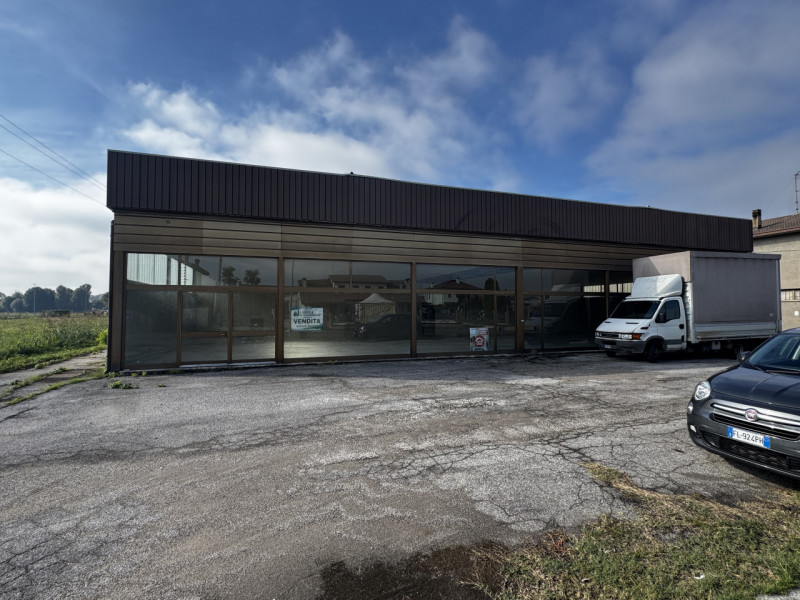 immagine annuncio 3 di 7