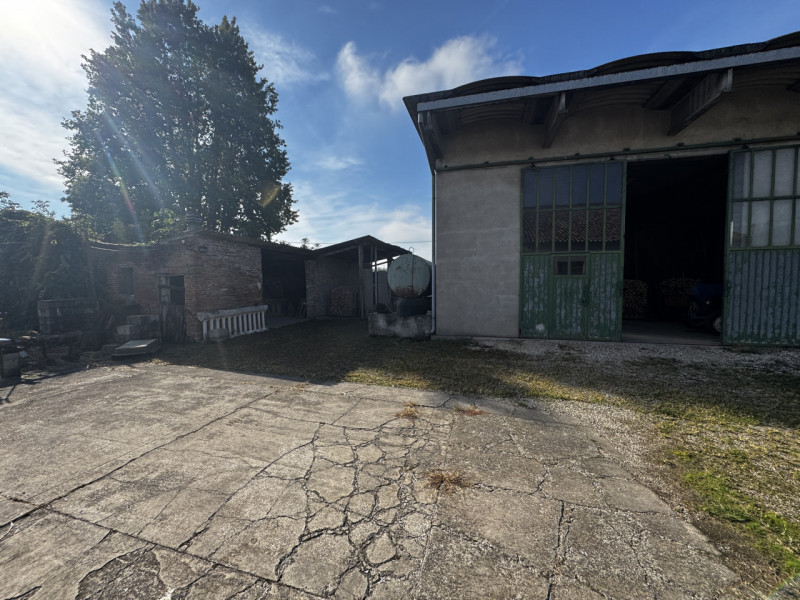 immagine annuncio 5 di 7