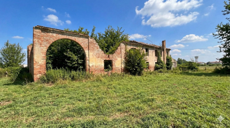 immagine annuncio 1 di 6