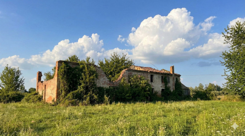 immagine annuncio 3 di 6