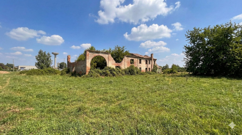 immagine annuncio 4 di 6