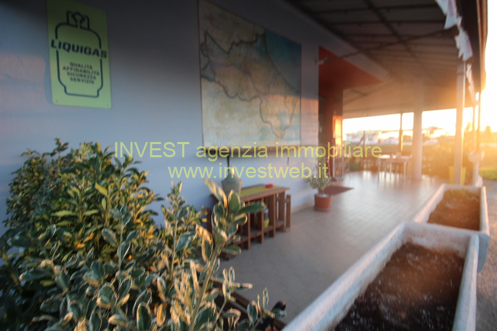 immagine annuncio 3 di 6