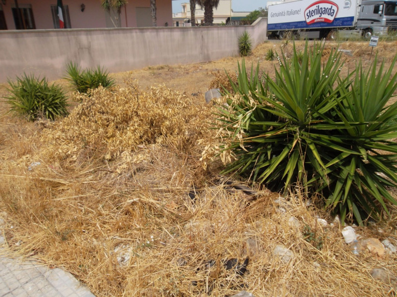 immagine annuncio 2 di 4