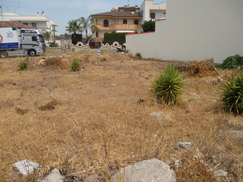 immagine annuncio 3 di 4