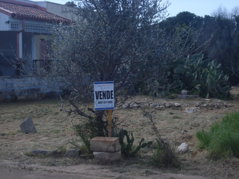 immagine annuncio 1 di 4