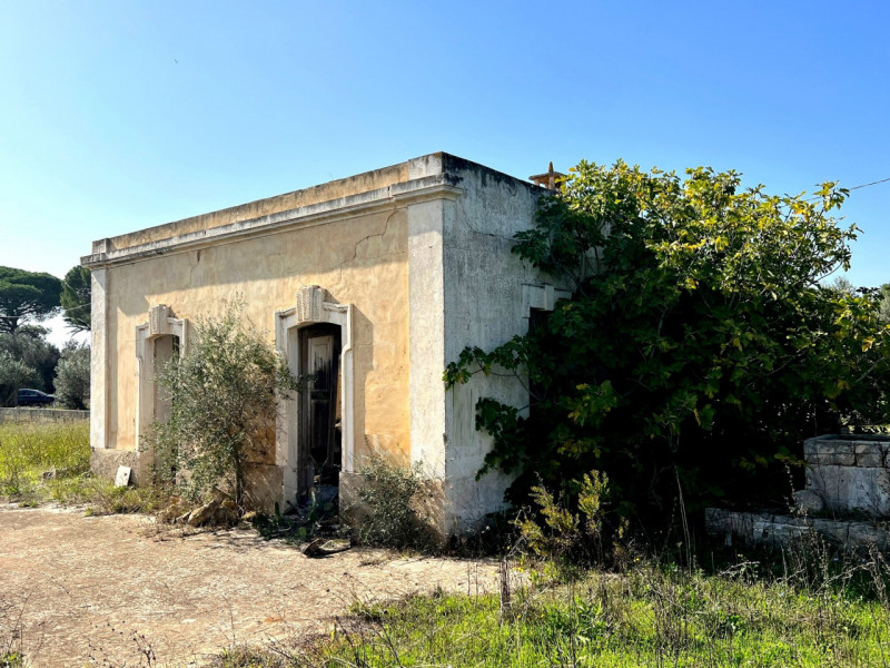 immagine annuncio 1 di 10