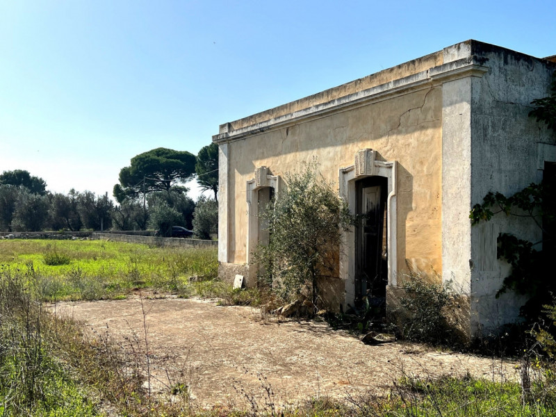 immagine annuncio 7 di 10