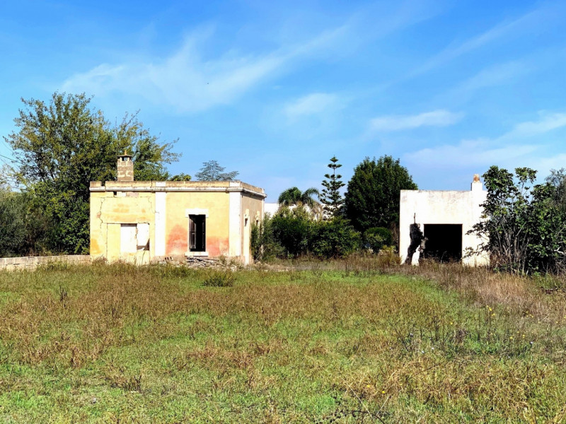 immagine annuncio 9 di 10