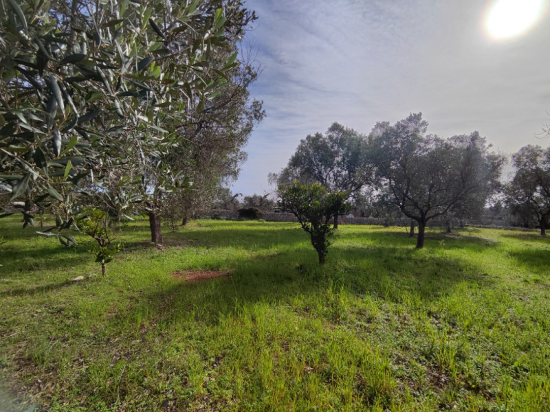 immagine annuncio 3 di 10