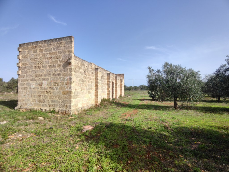 immagine annuncio 1 di 10