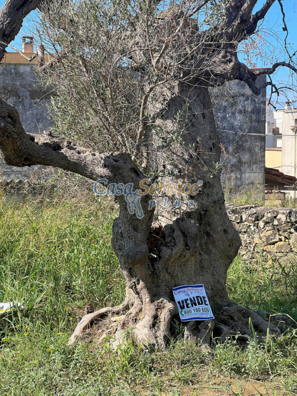 immagine annuncio 8 di 10