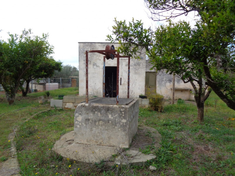 immagine annuncio 2 di 10