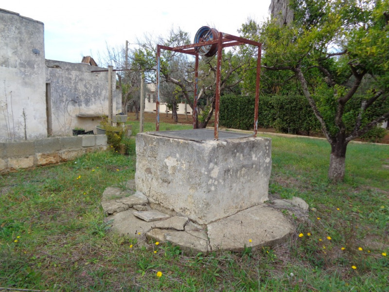 immagine annuncio 8 di 10