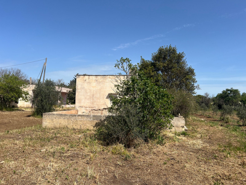 immagine annuncio 6 di 10