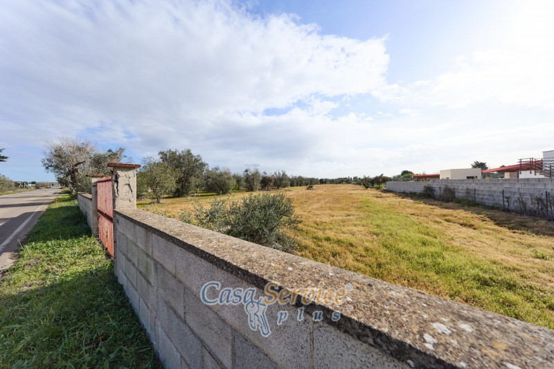 immagine annuncio 1 di 10