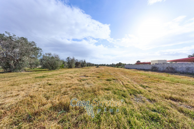 immagine annuncio 6 di 10