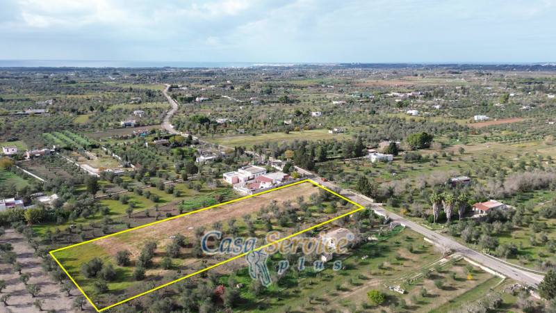 immagine annuncio 9 di 10