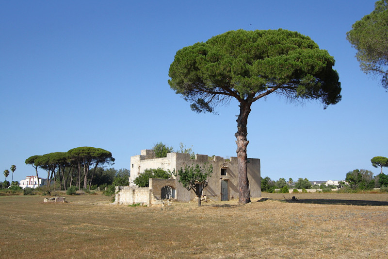 immagine annuncio 6 di 10